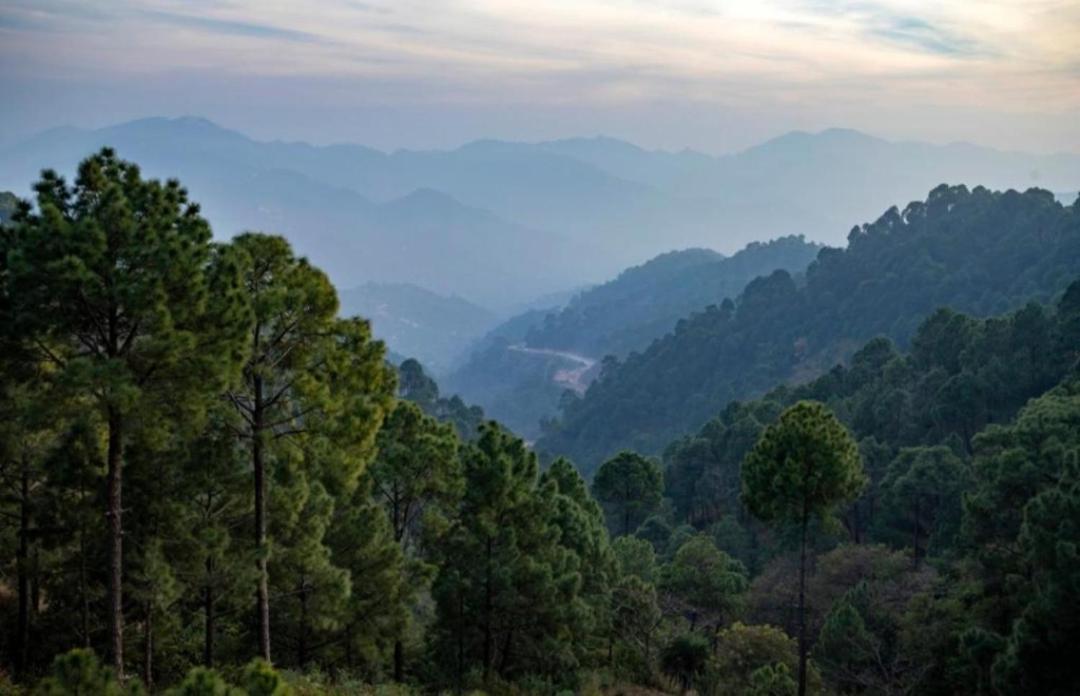 The Kasauli Western Uphills I Serviced Apartments I Pvt Balcony I Peacefull Area I By Exotic Stays Luaran gambar