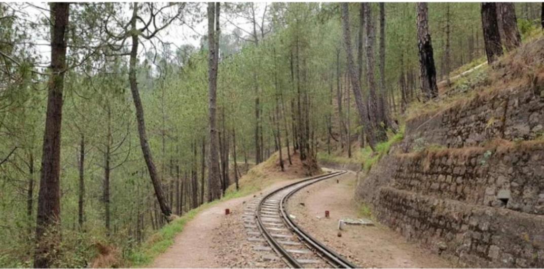 The Kasauli Western Uphills I Serviced Apartments I Pvt Balcony I Peacefull Area I By Exotic Stays Luaran gambar